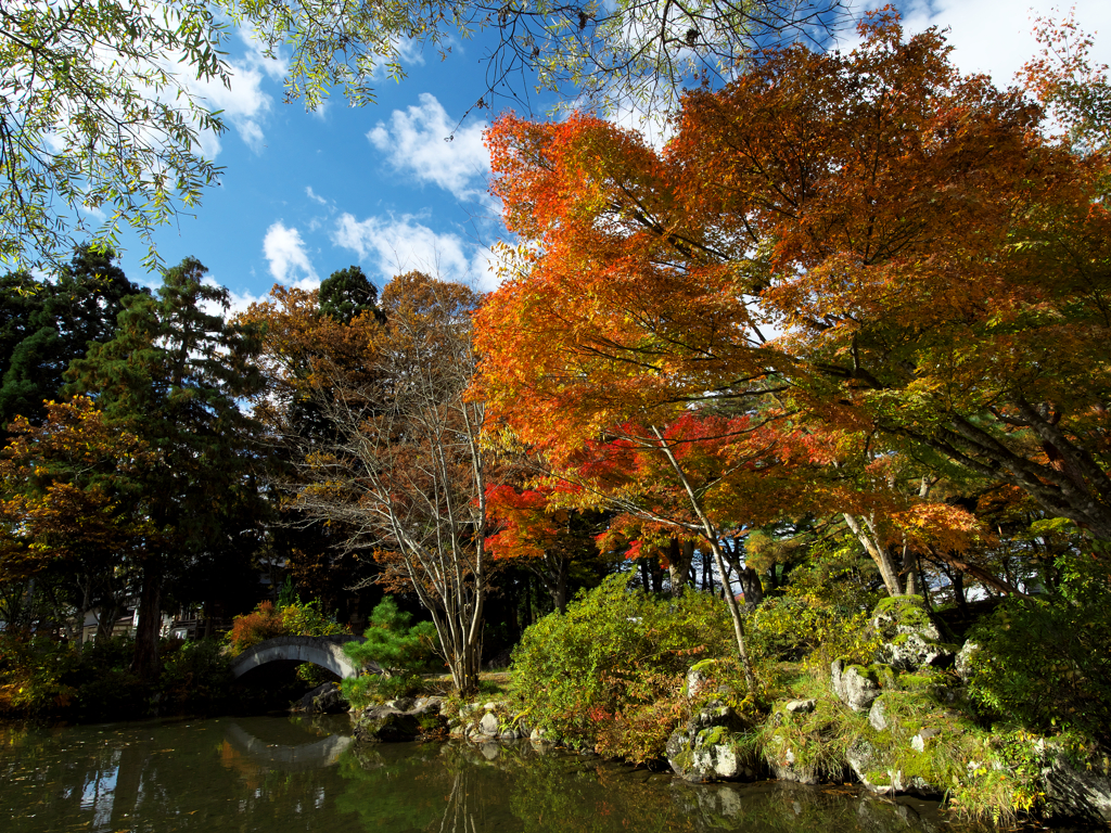 戸澤神社の秋
