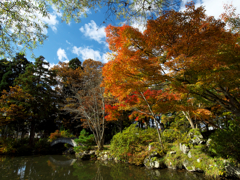 戸澤神社の秋