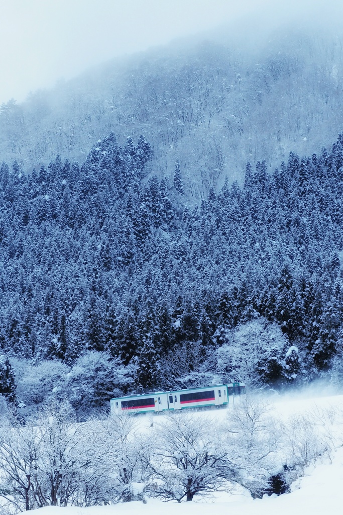降雪止みし一時に