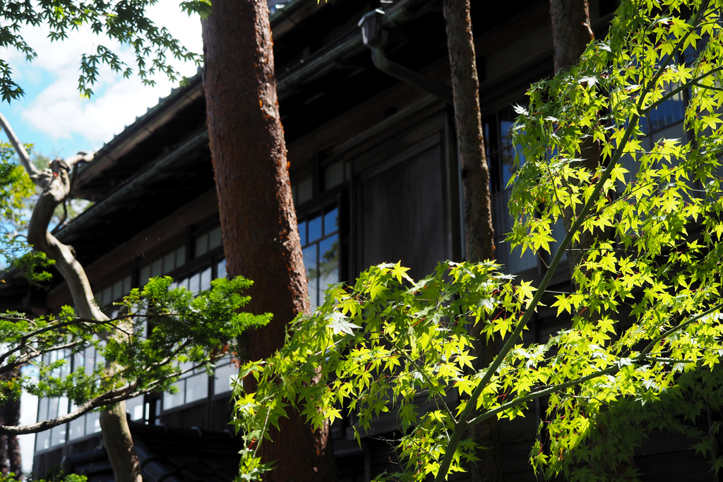 旧亀井邸 scene01