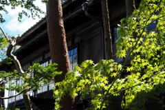 旧亀井邸 scene01