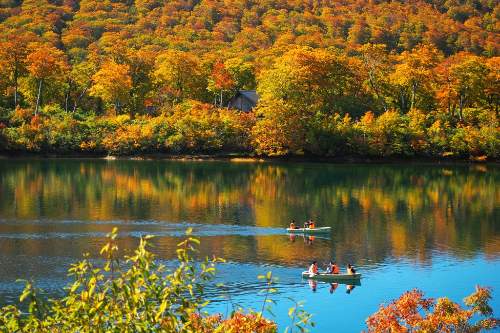 色づきに身をまかせ