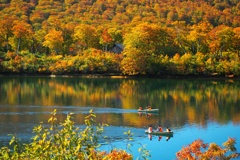 色づきに身をまかせ