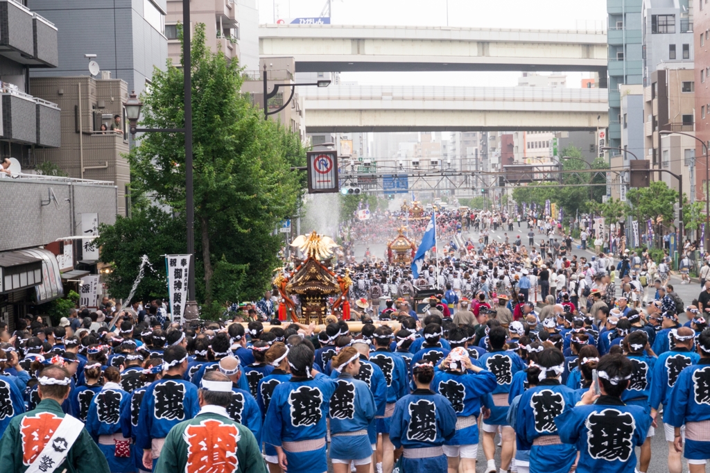 富岡八幡宮神輿連合渡御