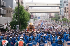 富岡八幡宮神輿連合渡御