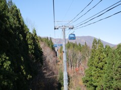 s-20190118-012