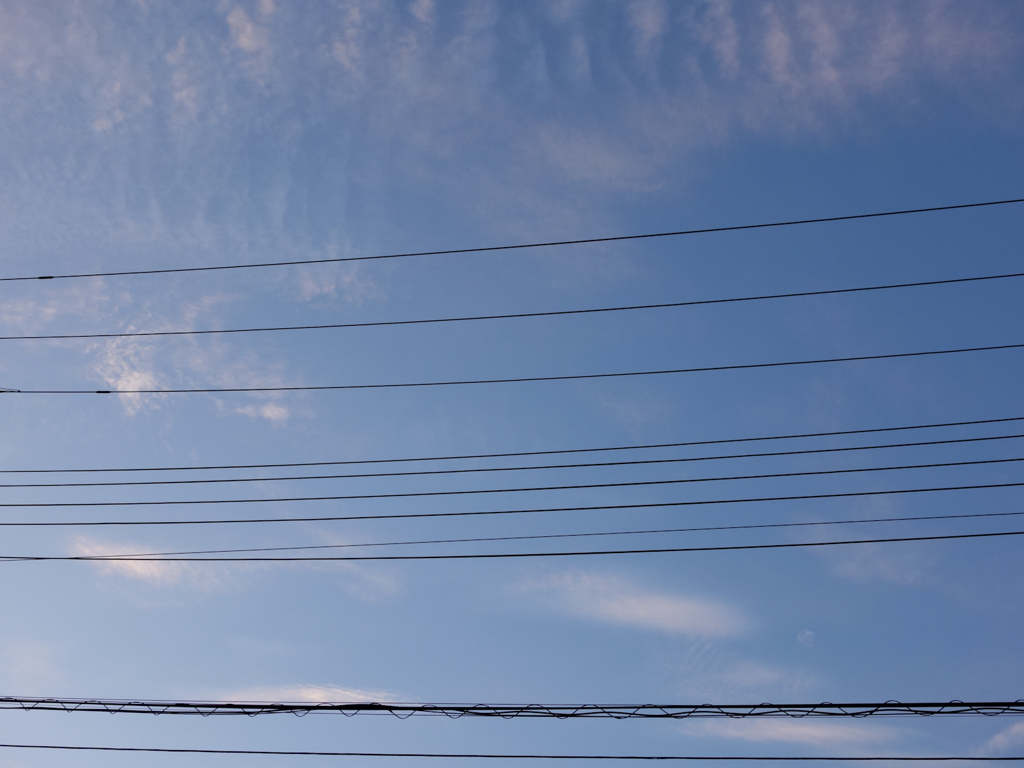 電線