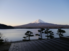 朝富士