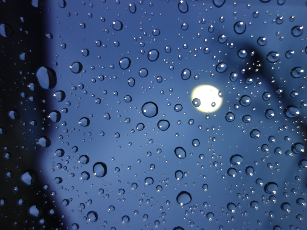 雨