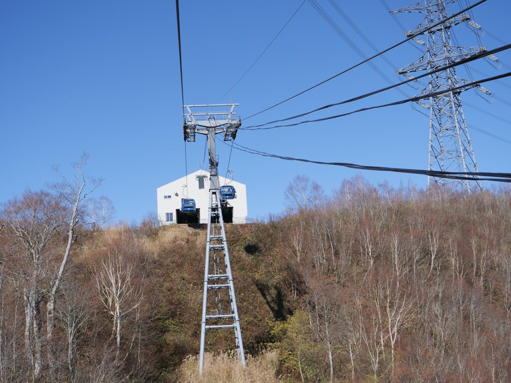 s-20190118-022