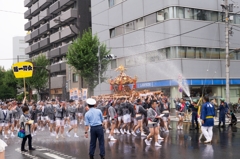 富岡八幡宮神輿連合渡御