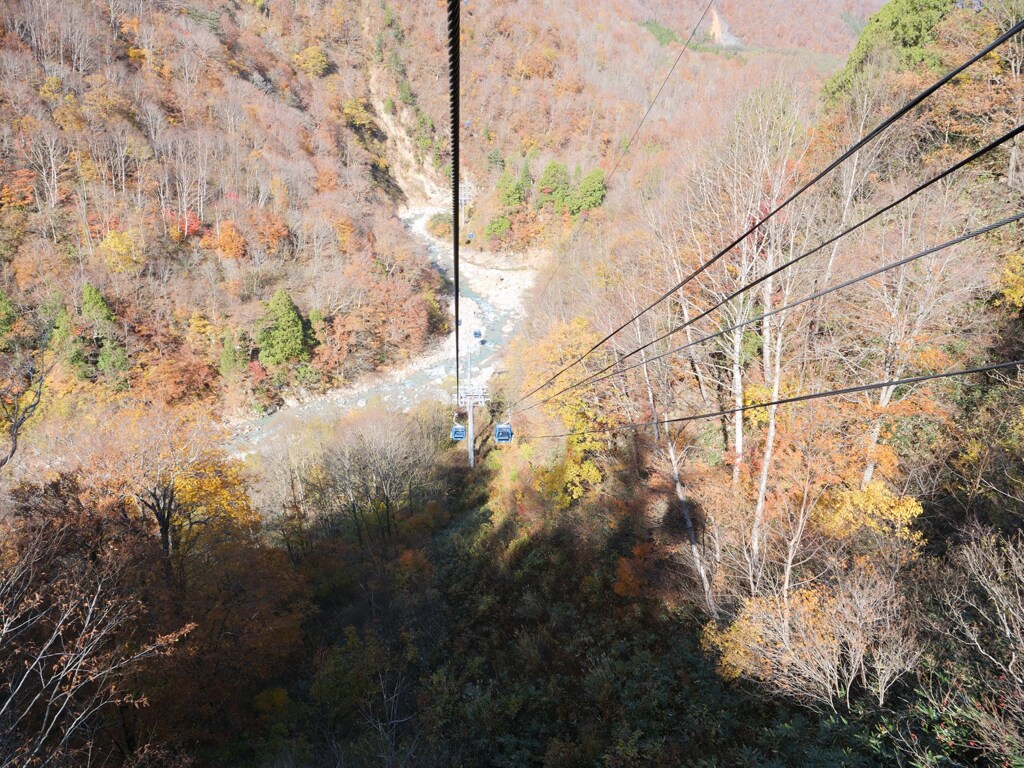 s-20190118-016
