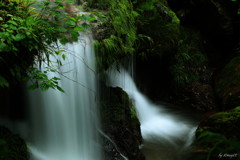 落水