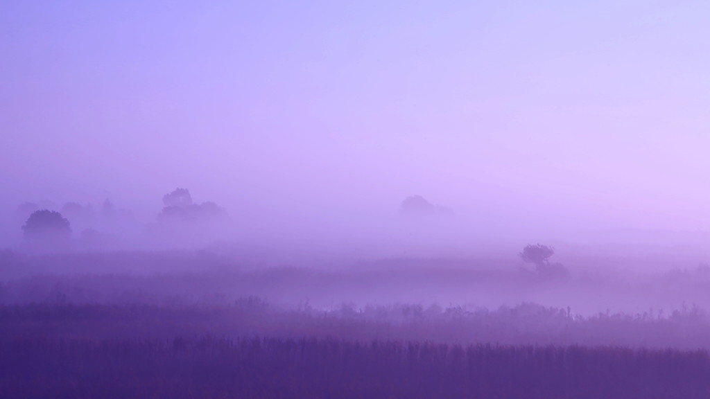 渡良瀬幻景
