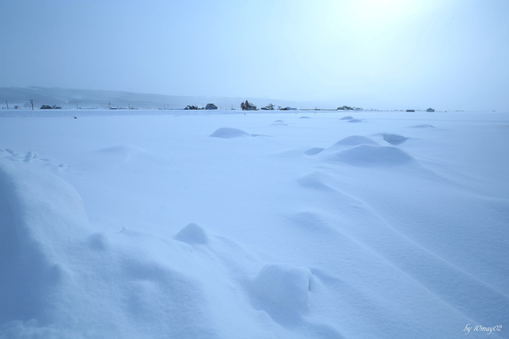 根雪