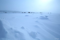 根雪