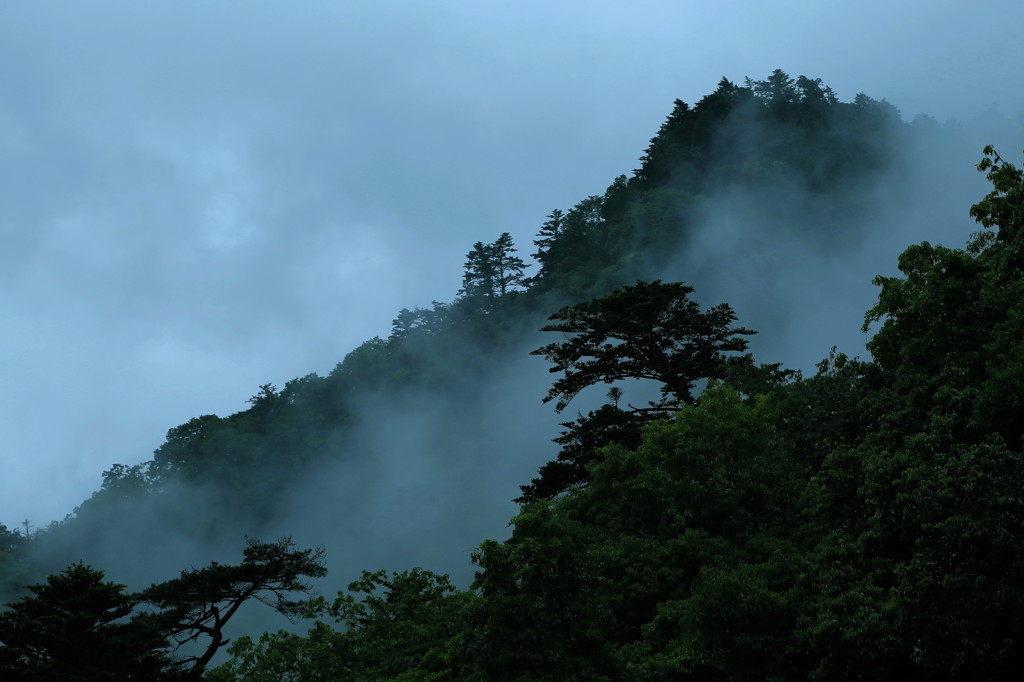 山霧