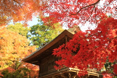 金鳳山平林禅寺
