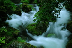 雨の渓谷　～奥多摩海沢谷～　