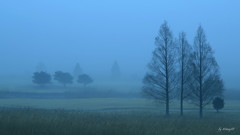 朝靄