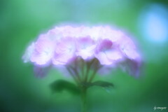 梅雨まぢか