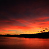 秋夕景