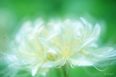 秋の兆し
