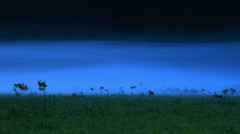 Mist flow