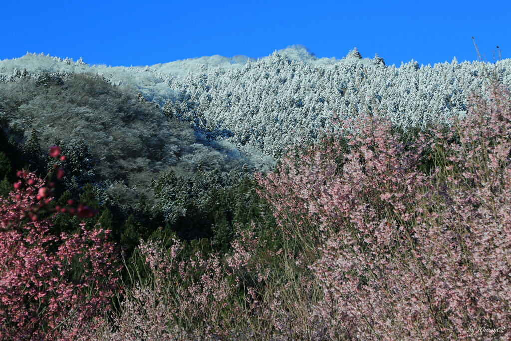 里山の四季彩２