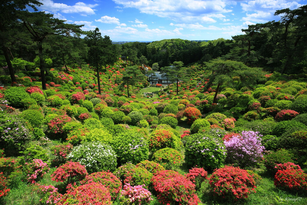 塩船観音寺