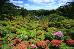 塩船観音寺