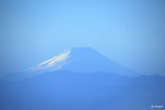 今日の富士
