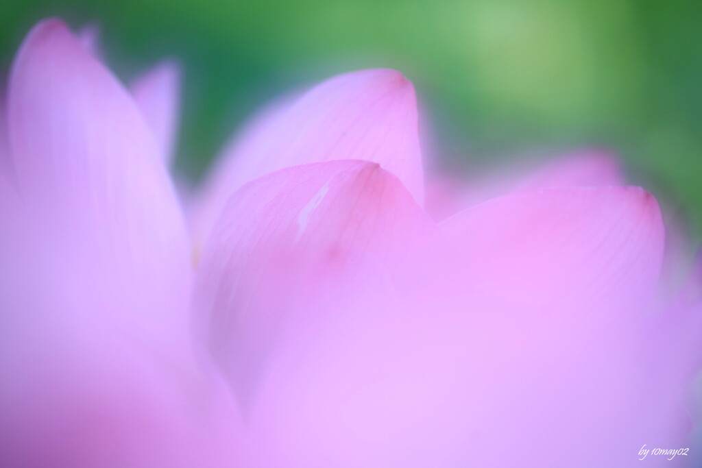 gradation３