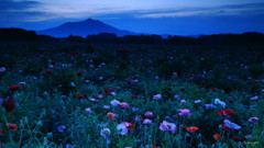 夜明け前
