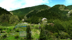 山村の彩