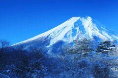 冬富士