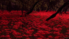天上の森