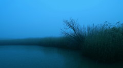 霧のしじま