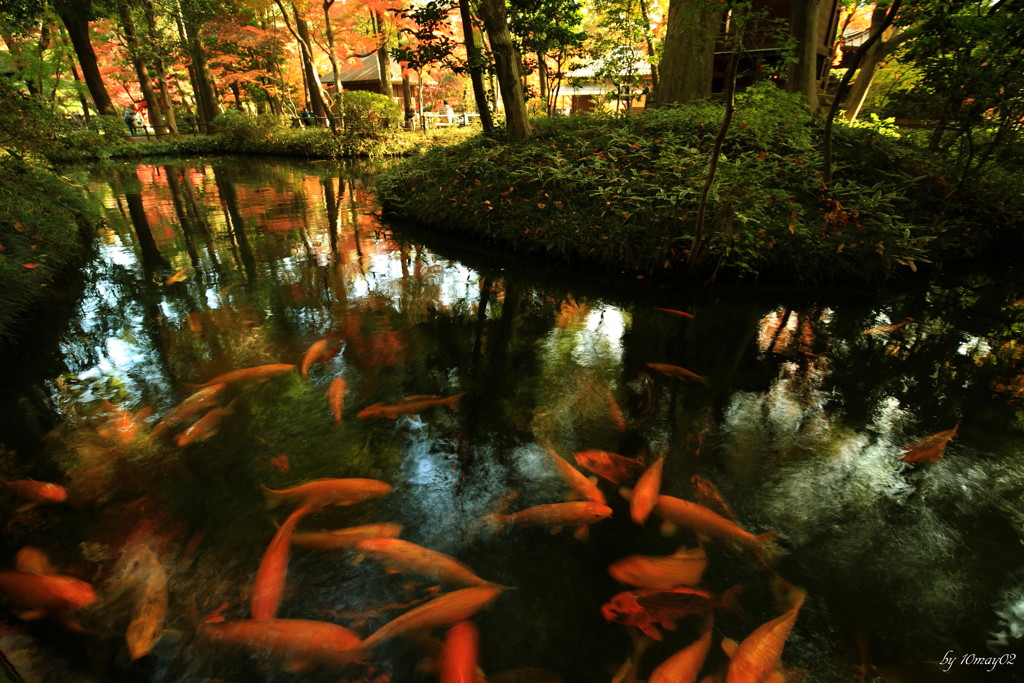 平林禅寺２