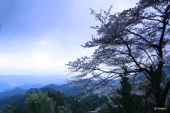 一望千里