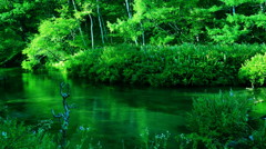 水清らかに