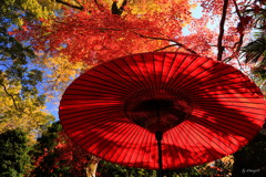 紅