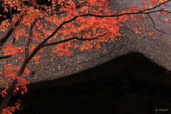 暮る秋２