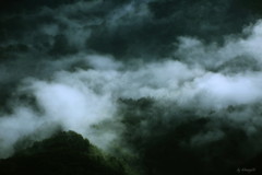 山霧