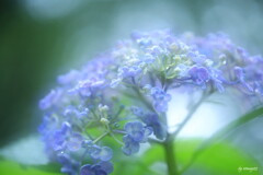 雨あがり