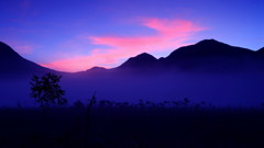 Twilight