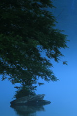 池畔のオブジェ　～大正池～