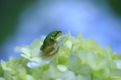登頂成功２