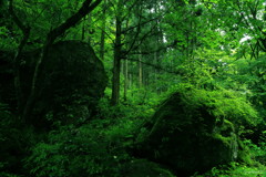 石巌