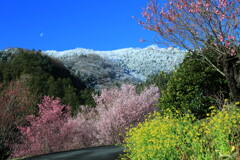 里山の四季彩